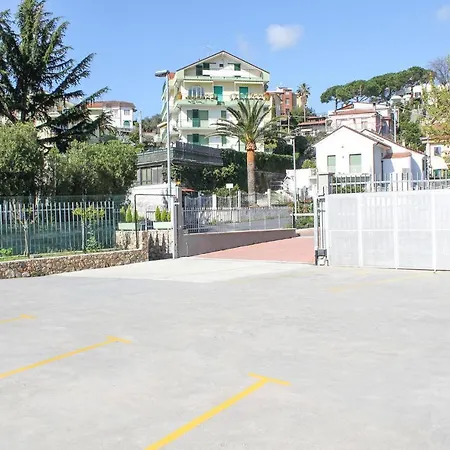 Olivo 10 Boissano